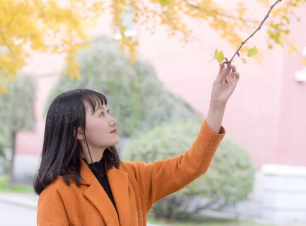 莫比乌斯：黑色太阳
