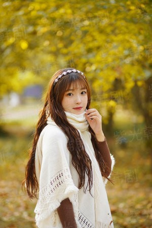 爱情斑马线